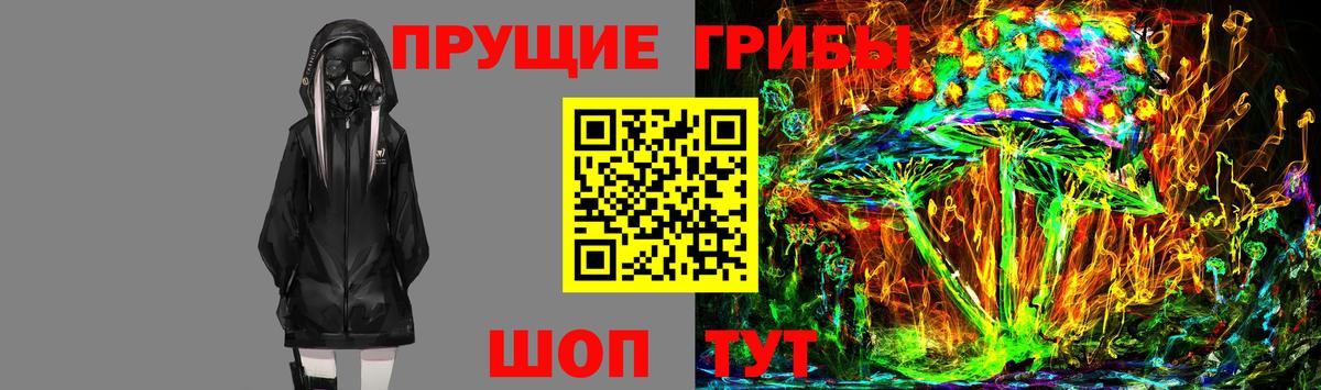 Псилоцибиновые грибы прущие грибы Димитровград