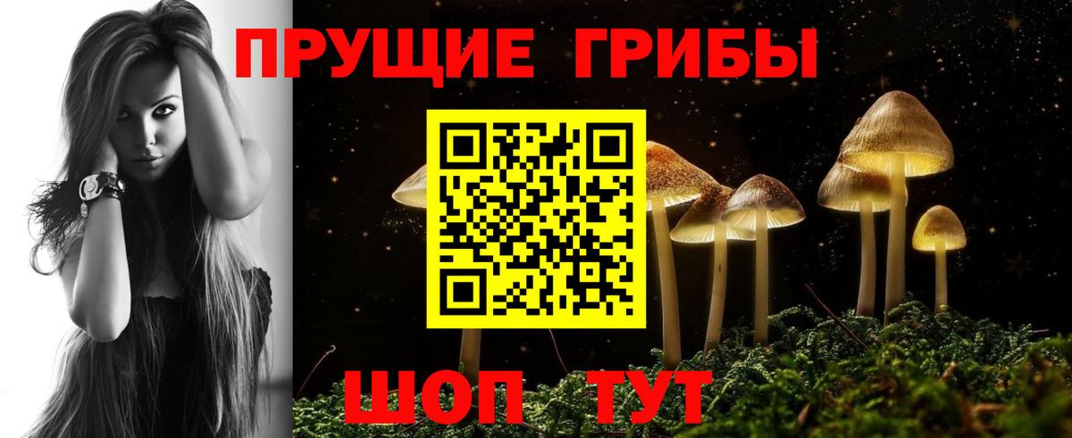 Галлюциногенные грибы прущие грибы  Вход с VPN  Димитровград 