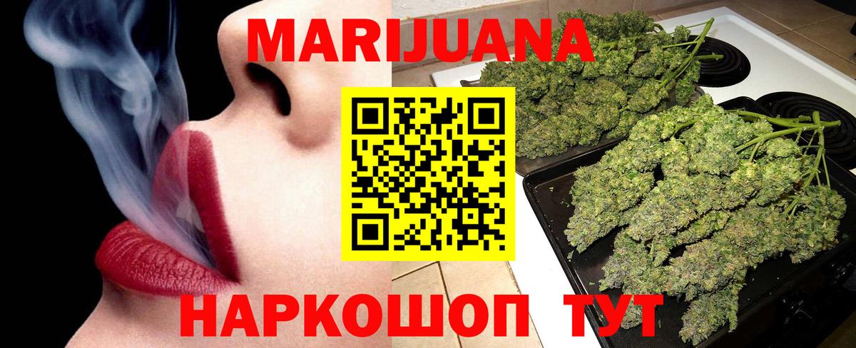 Бошки Шишки планчик Димитровград